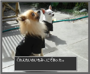 ぐれんたいのいちみ、にであった