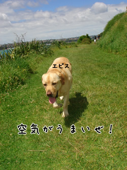 エビス