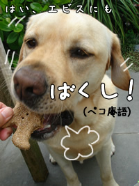 エビス2