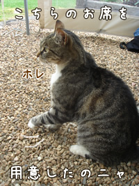 ほれ