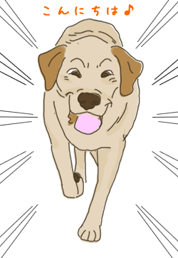 クロエちゃん、こんにちは
