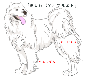 サモ1