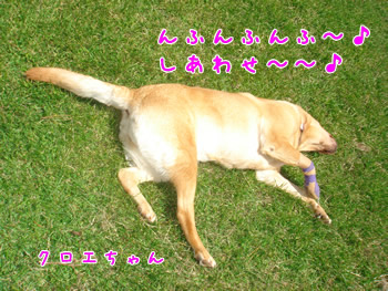 クロエちゃん