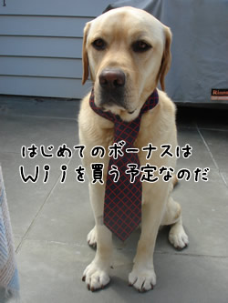 ¥¨¥Ó¥¹¤Î¥Í¥¯¥¿¥¤