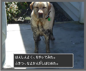 半身よくでピンチなえビス