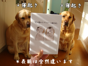 羊の国