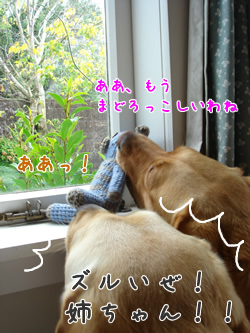 クロエビス