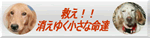 ArkAngelsBanner