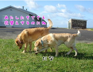 衣替え〜