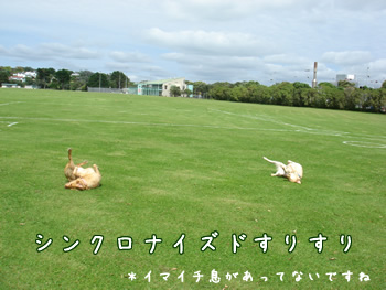 シンクロ