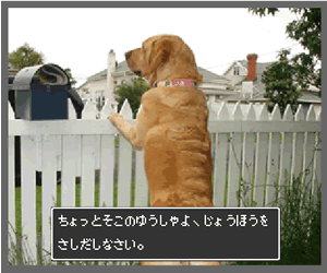そこのゆうしゃよ、じょうほうをさしだしなさい