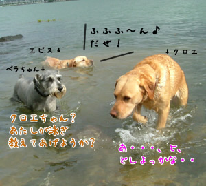 ±Ë¤¤¤À¤ê