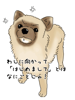 チャーリー