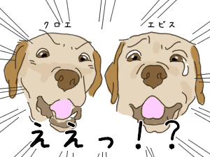 クロエビス