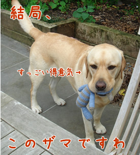 エビス&編みぐるみ