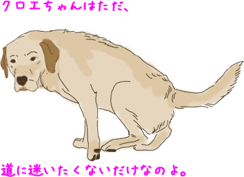 クロエちゃん