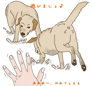 遊びましょ