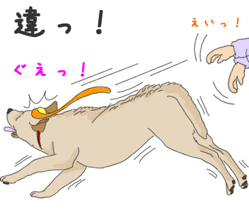 違う!