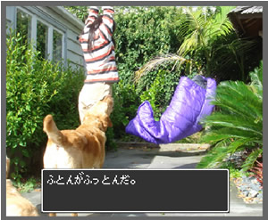 ふとんがふっとんだ