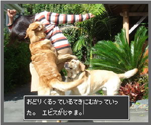 踊りくるう敵
