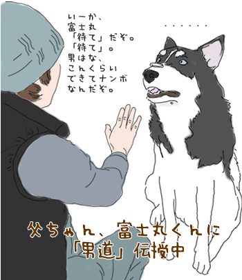 富士丸くん3