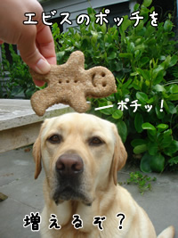 エビス1