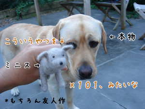 ¥ß¥Ë¥¹