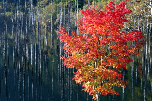 静かな湖畔
