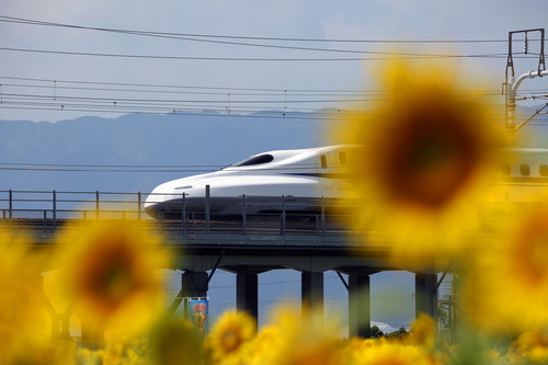 BU1A3823