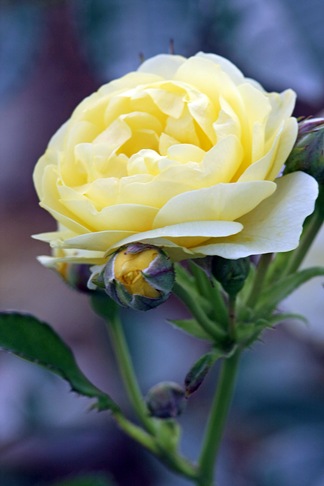 2e27a835.jpg