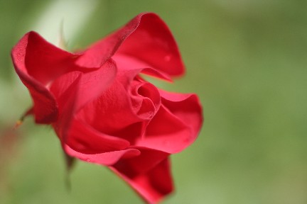 395c4ba8.jpg
