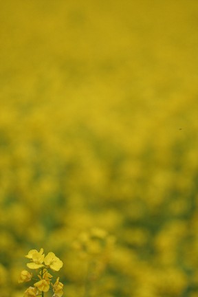 3cbf43c5.jpg