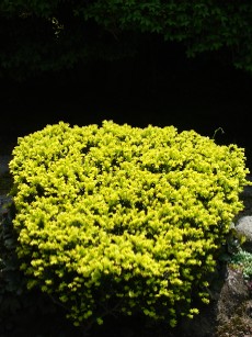 3e878c4b.jpg