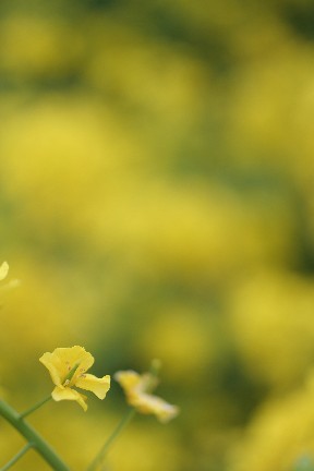 5c4650f8.jpg