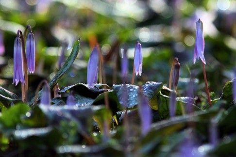 IMG_7784