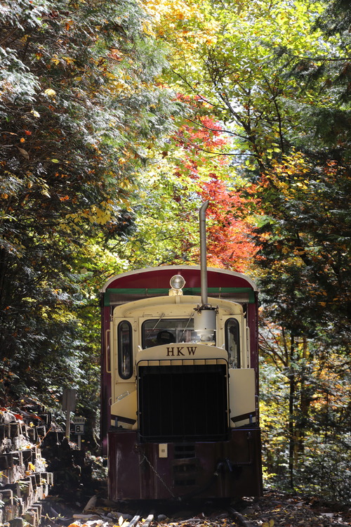 BU1A0517