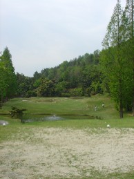 9c03e3f6.jpg