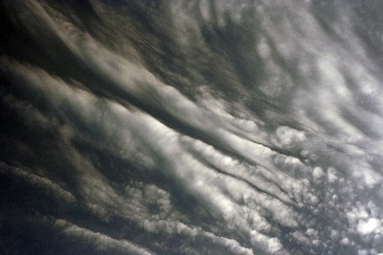 b1930617.jpg