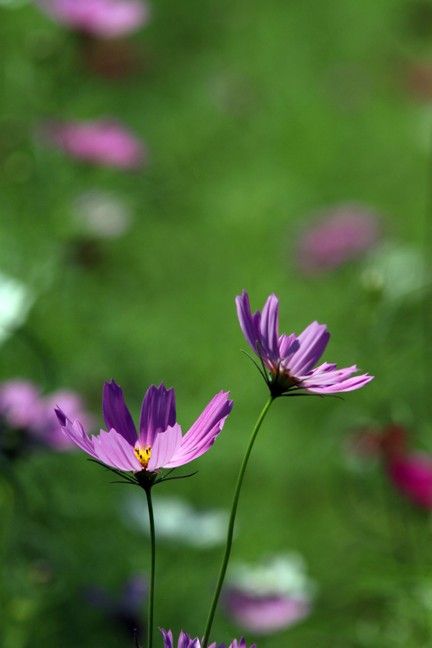 IMG_5557