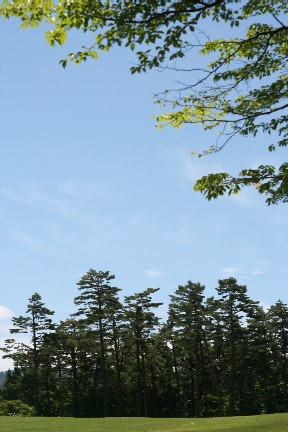 fbba5007.jpg