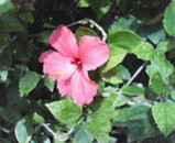 d98d6cf2.jpg