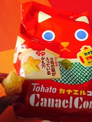 7cc88295.jpg