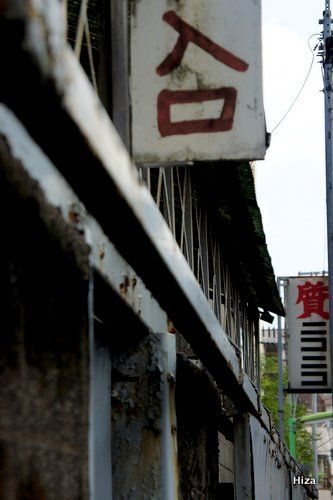 写真-34.JPG