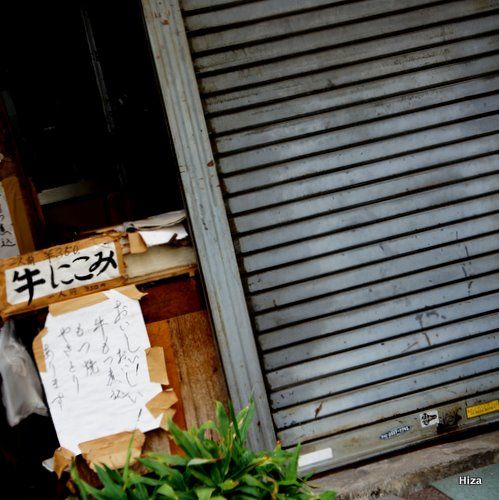 写真-15