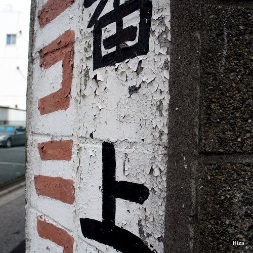写真-25.JPG