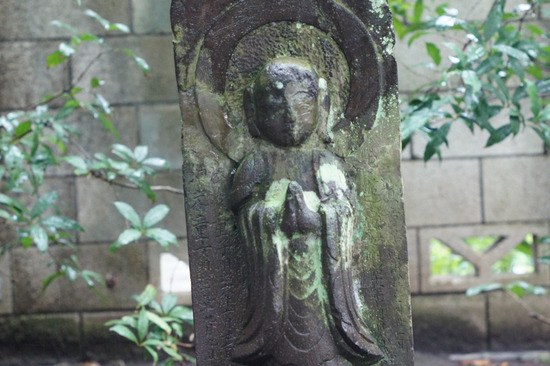 DSC04550