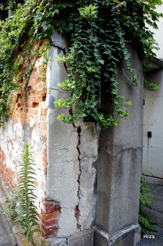 写真(4).JPG