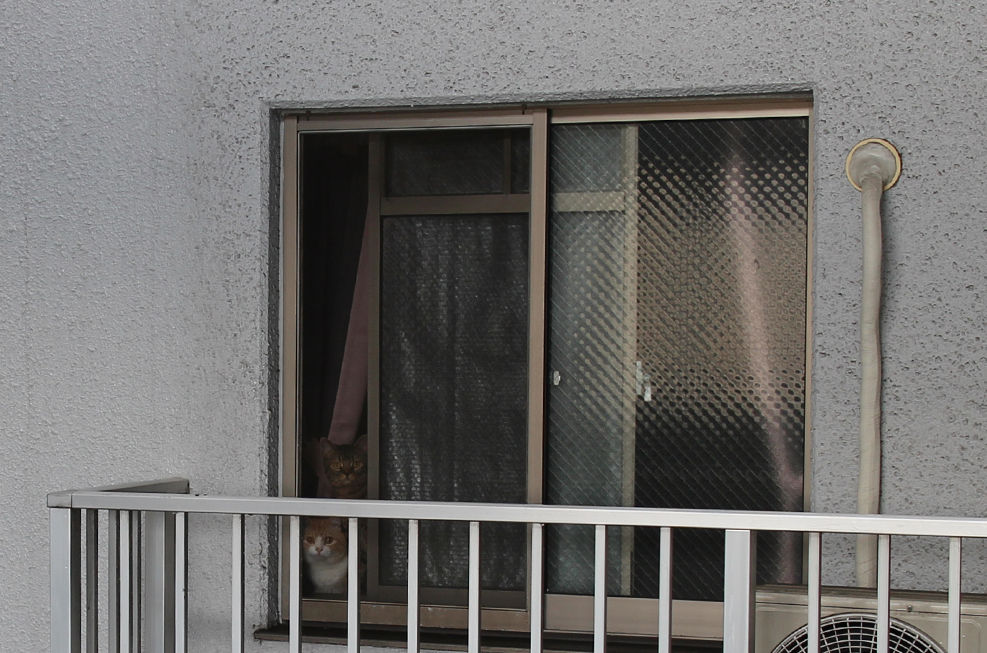 英文 文例 お祝い 結婚 おめでとう メール