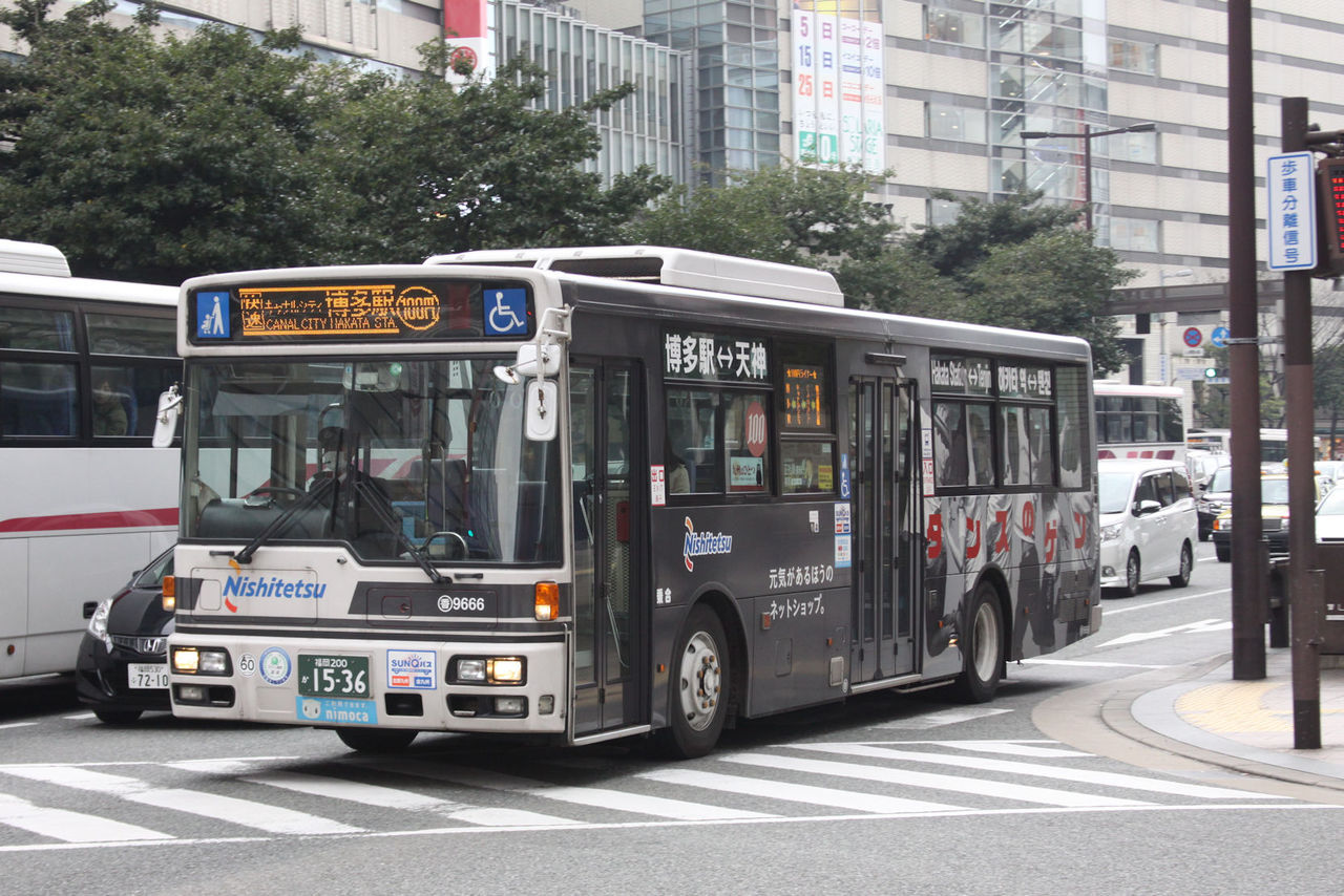 はとバス　東京　昭和レトロ Tokyo Open Top Tour（オープンバス）｜はとバス【公式】