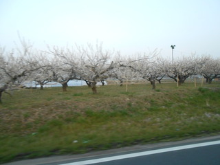 DSCN0939